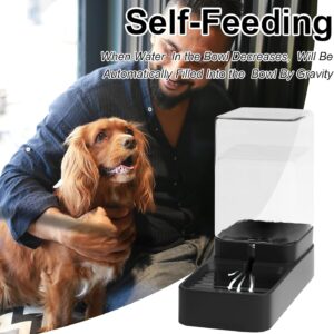 Automatic Cat Feeder - Image 6