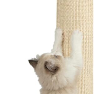 Heavy Duty Cat Scratcher - Image 14