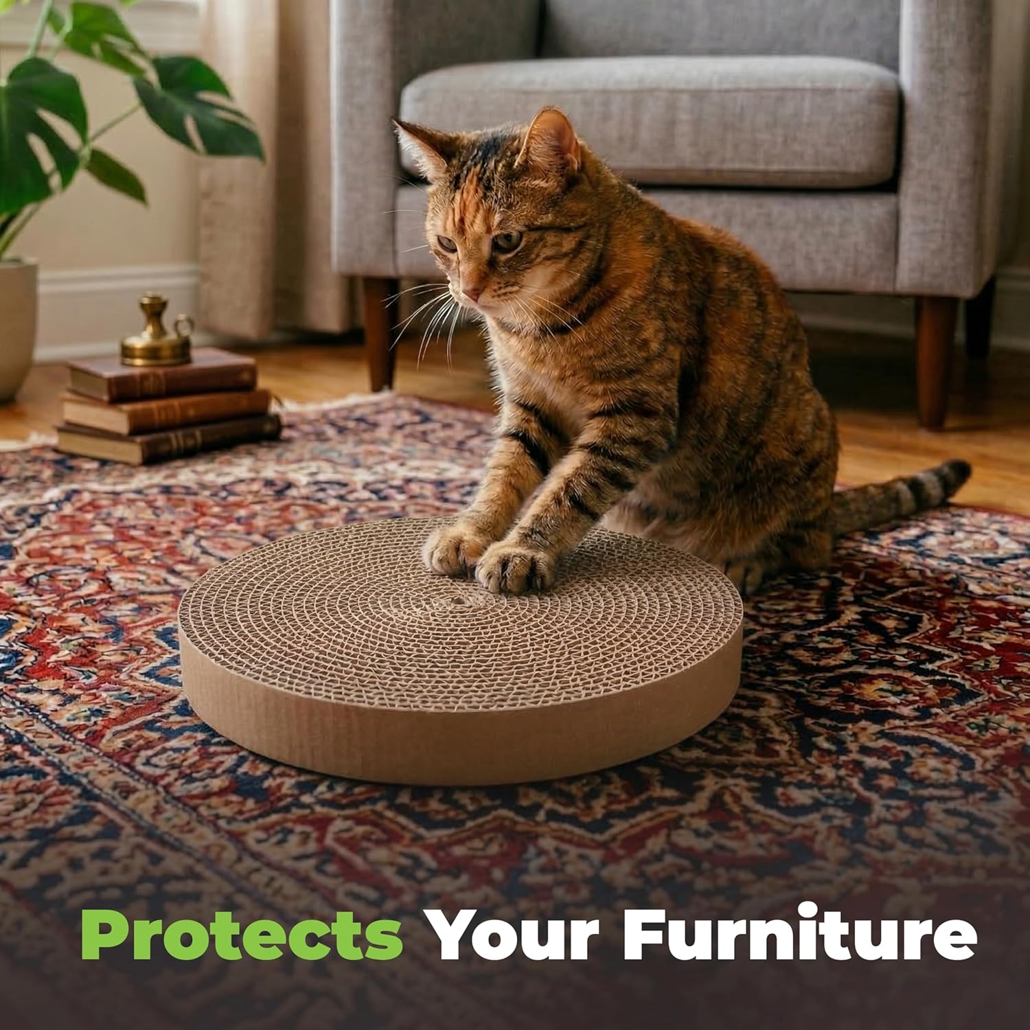 Heavy Duty Cat Scratcher - Image 5