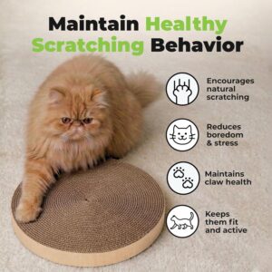 Heavy Duty Cat Scratcher - Image 6