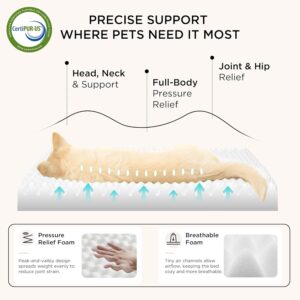 Large Dog Bed - Image 3
