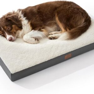 Large Dog Bed
