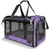 Purple Pet Carrier