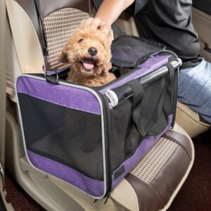 Purple Pet Carrier - Image 3