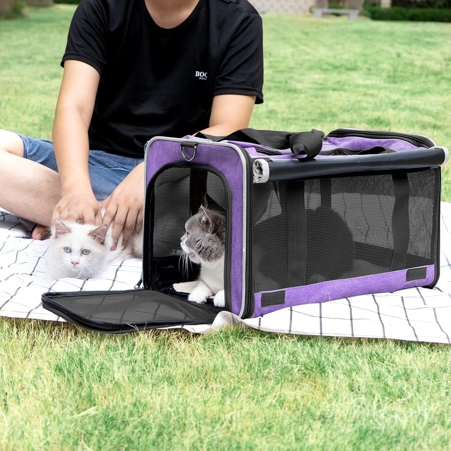 Purple Pet Carrier - Image 4
