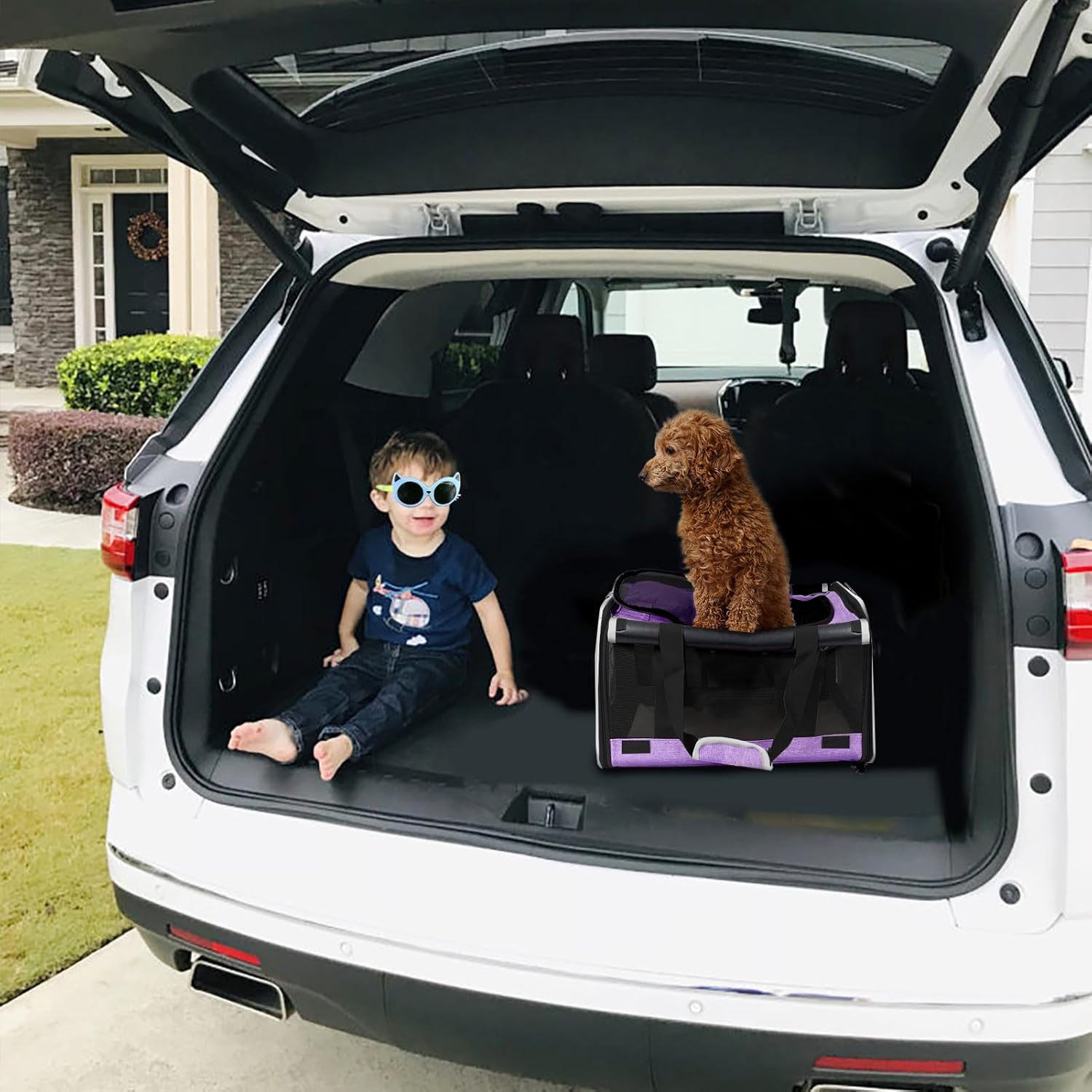 Purple Pet Carrier - Image 8