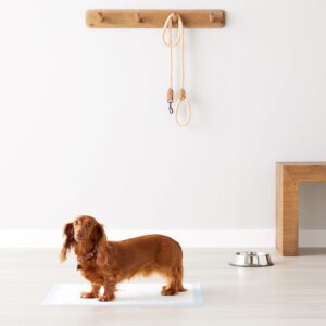 Regular Dog Pee Pads - Image 8