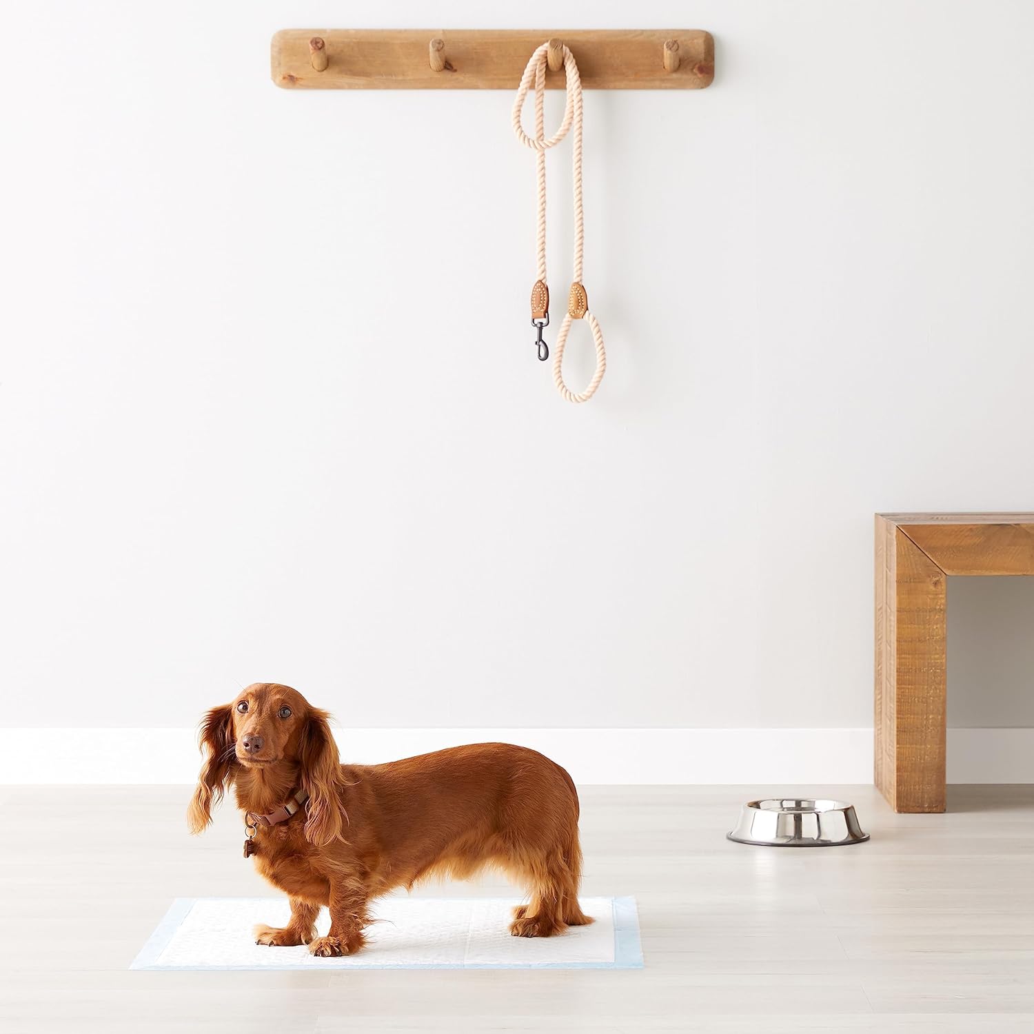 Regular Dog Pee Pads - Image 8