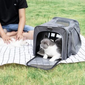 Soft-Sided Pet Carrier - Image 6